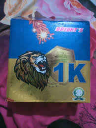 Lion - 1K